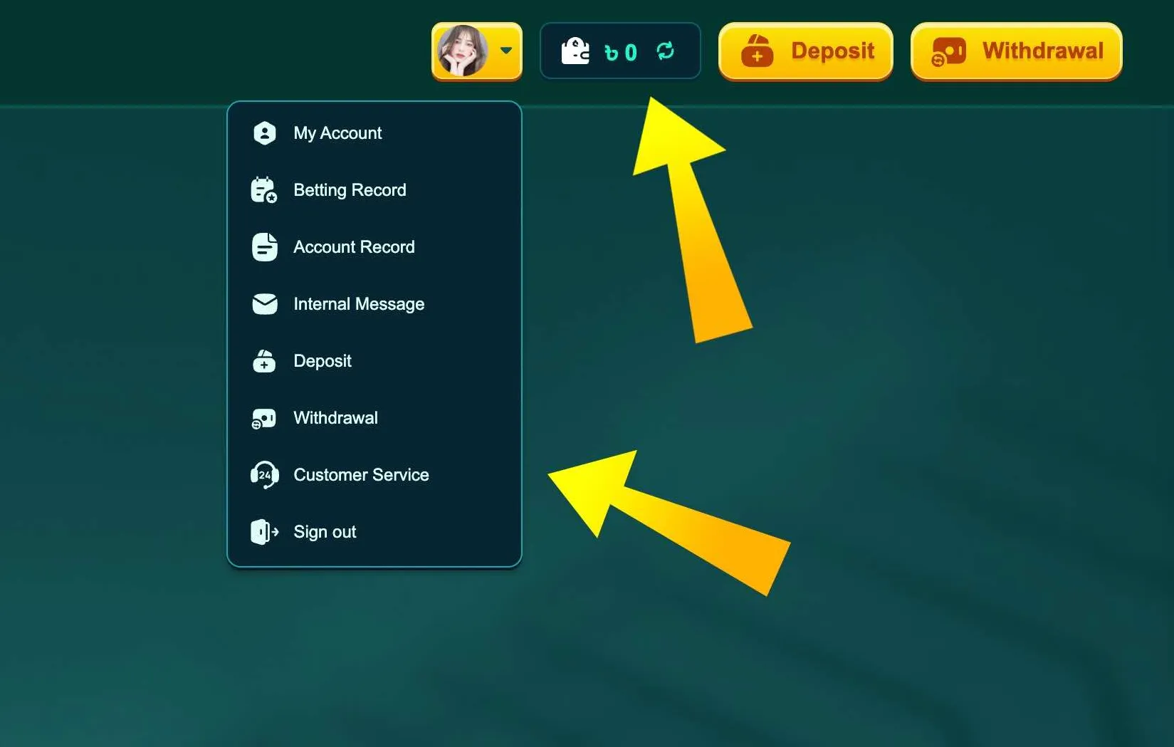 Account menu in EK333 app